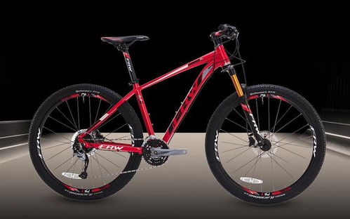 共享單車(chē)2019崛起之路不在于市場(chǎng)投放,而在于技術(shù)的研發(fā)